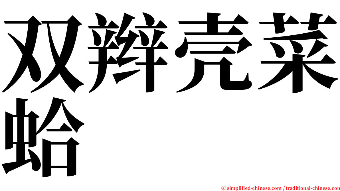 双辫壳菜蛤 serif font