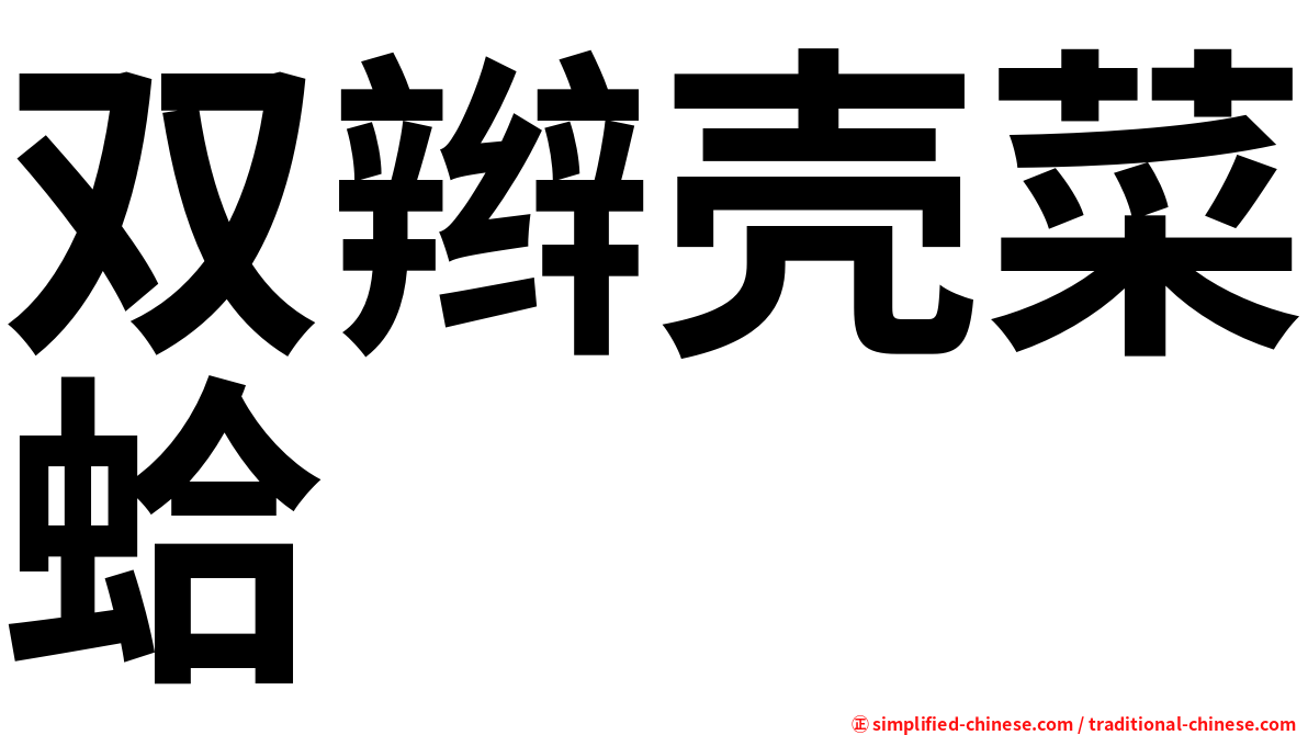 双辫壳菜蛤