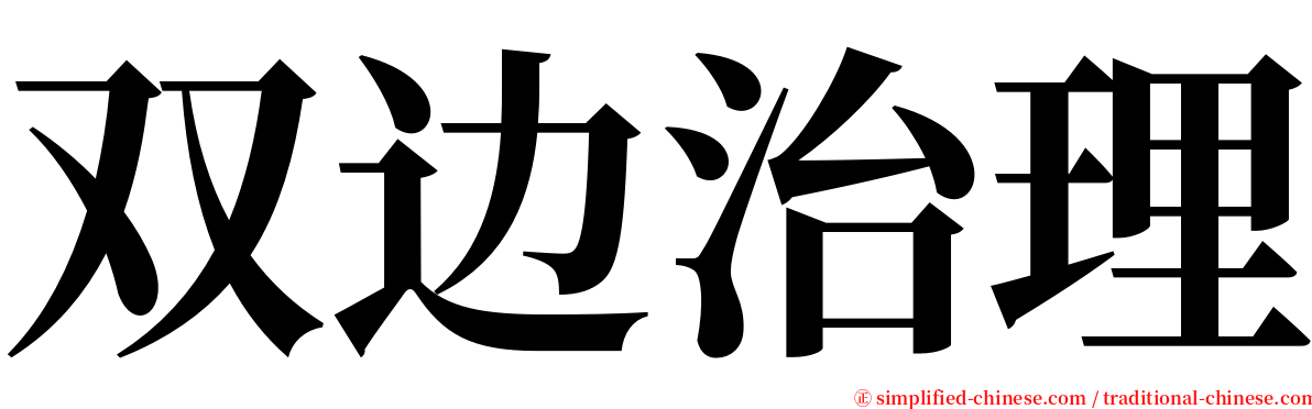 双边治理 serif font