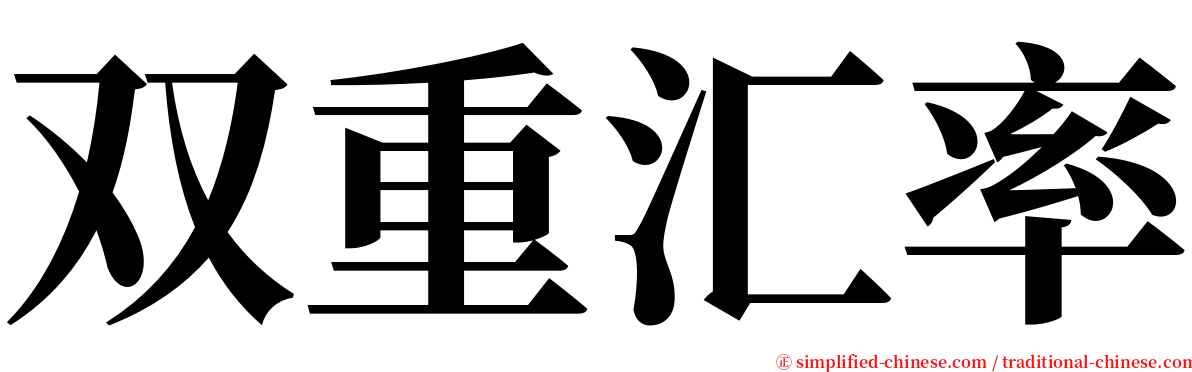 双重汇率 serif font