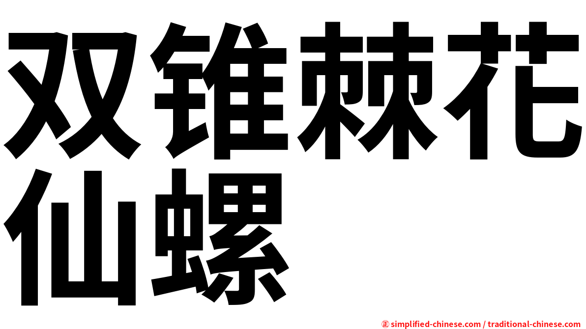双锥棘花仙螺