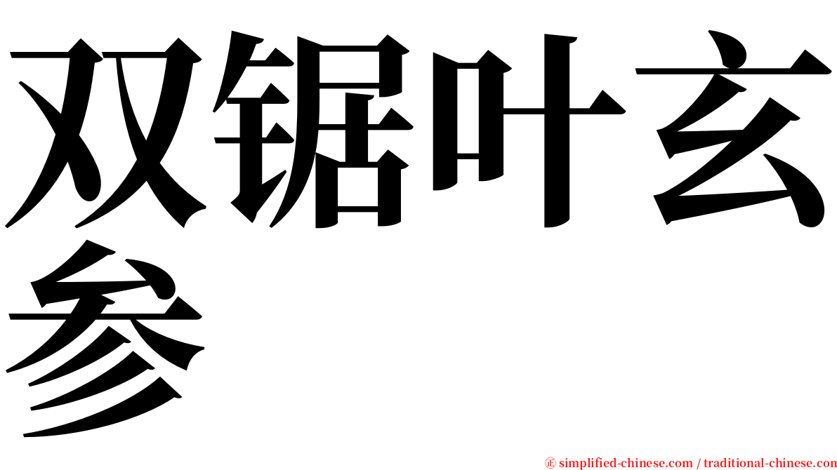 双锯叶玄参 serif font