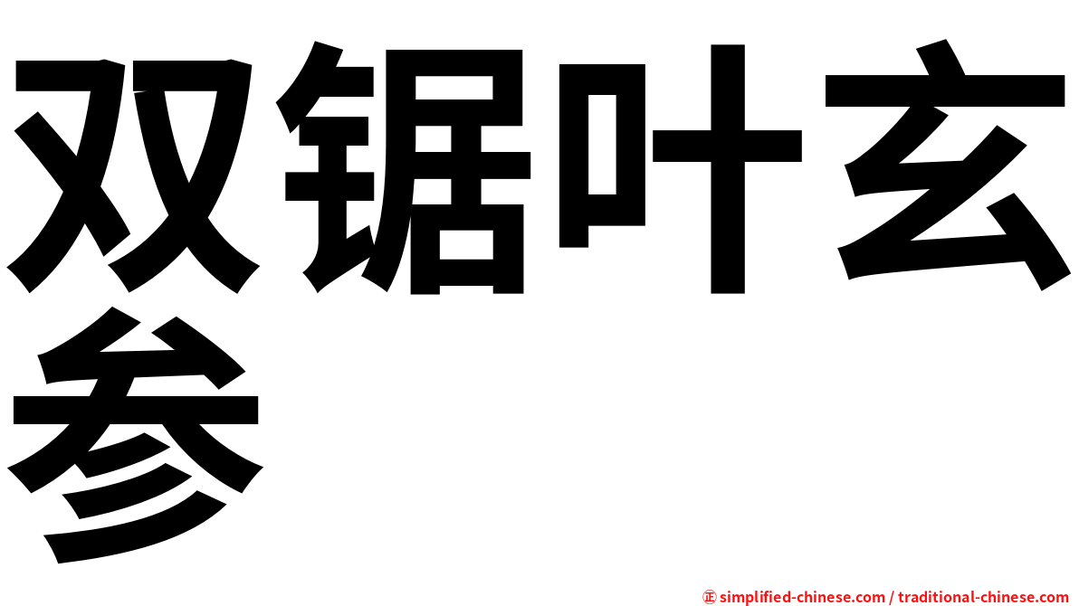 双锯叶玄参