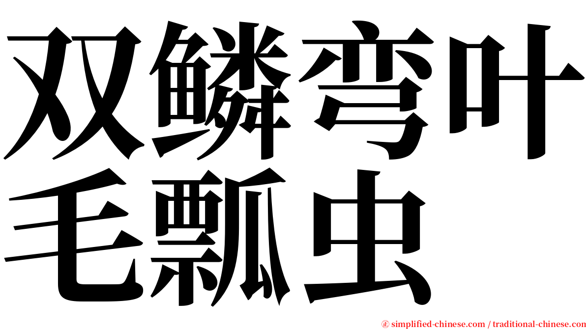 双鳞弯叶毛瓢虫 serif font