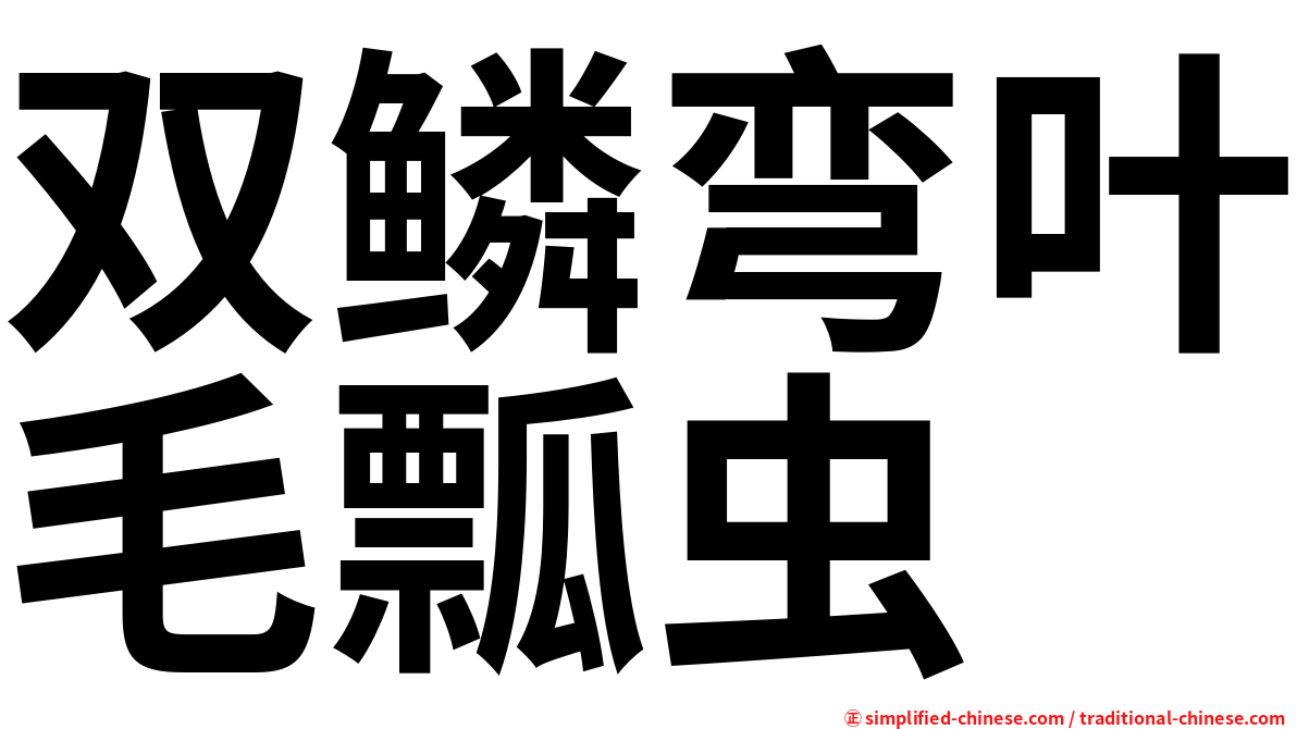 双鳞弯叶毛瓢虫