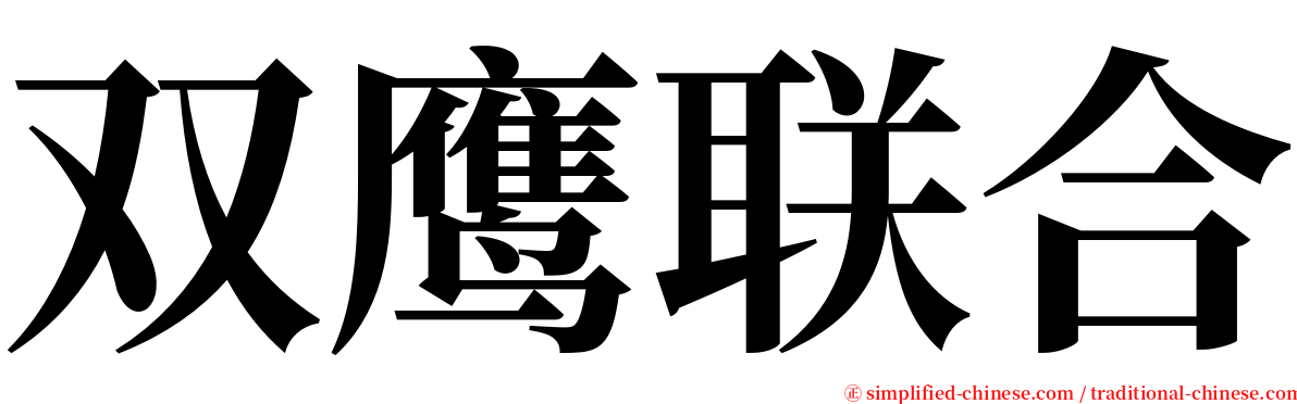双鹰联合 serif font