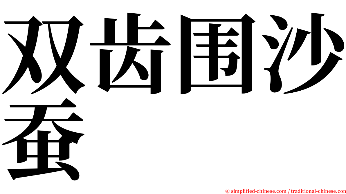 双齿围沙蚕 serif font