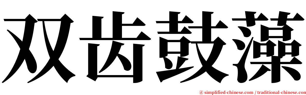 双齿鼓藻 serif font