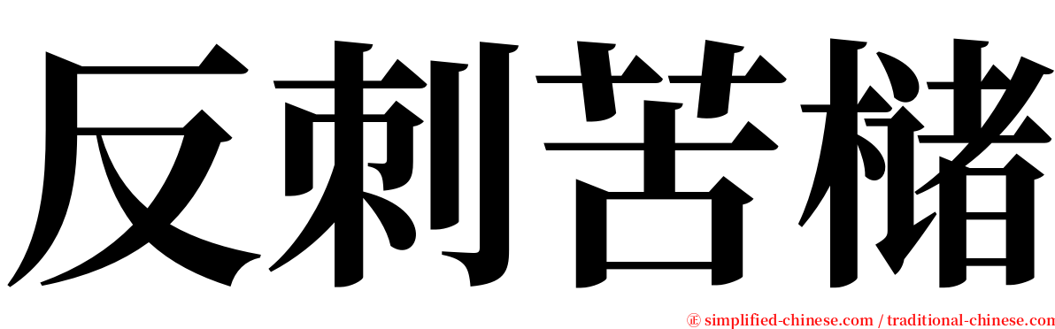 反刺苦槠 serif font