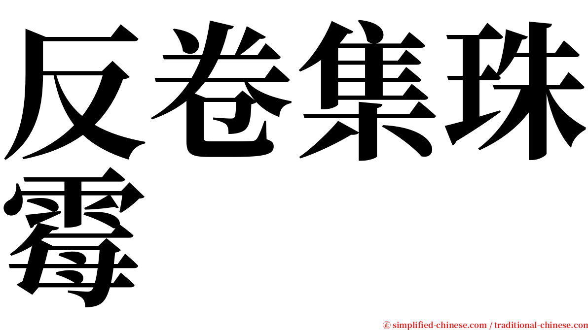 反卷集珠霉 serif font
