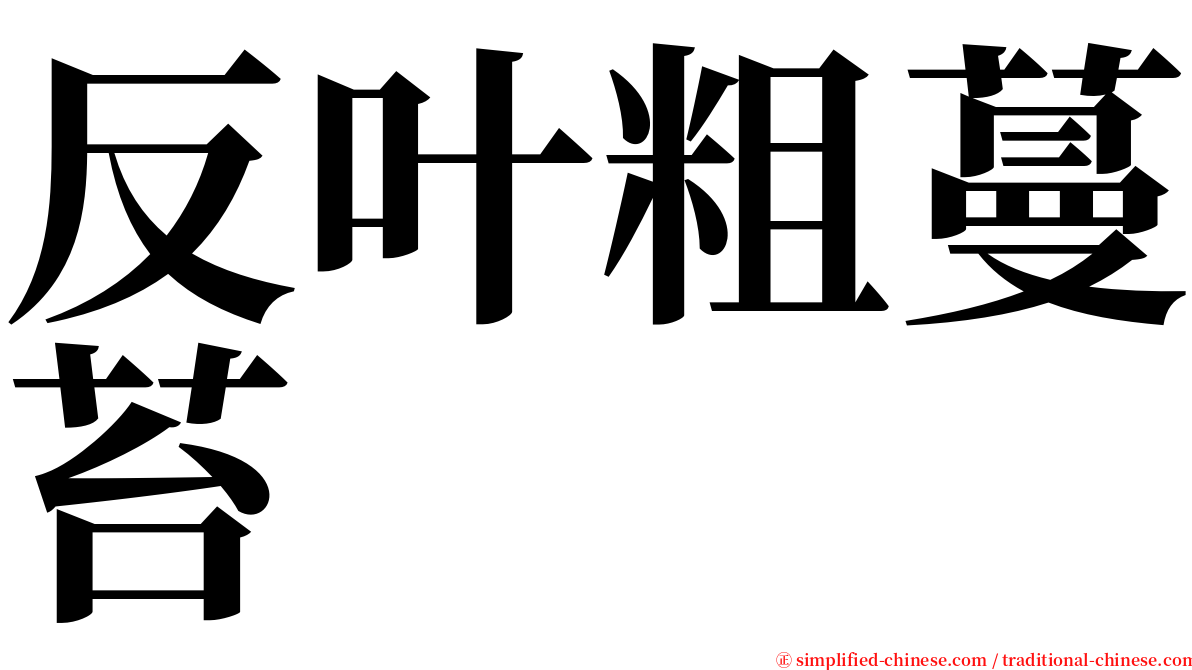 反叶粗蔓苔 serif font