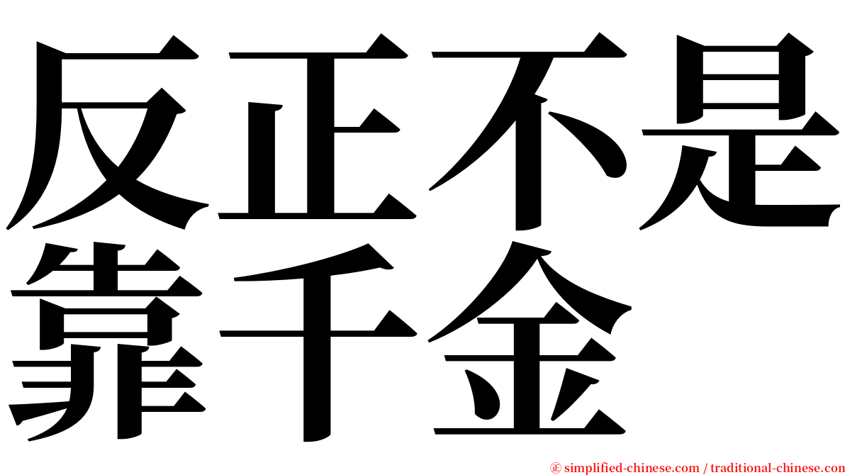 反正不是靠千金 serif font