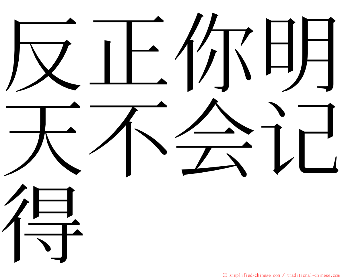 反正你明天不会记得 ming font
