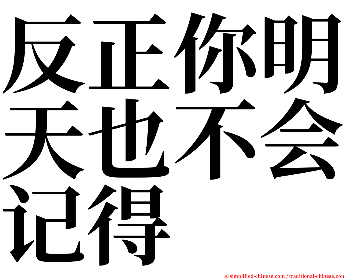 反正你明天也不会记得 serif font