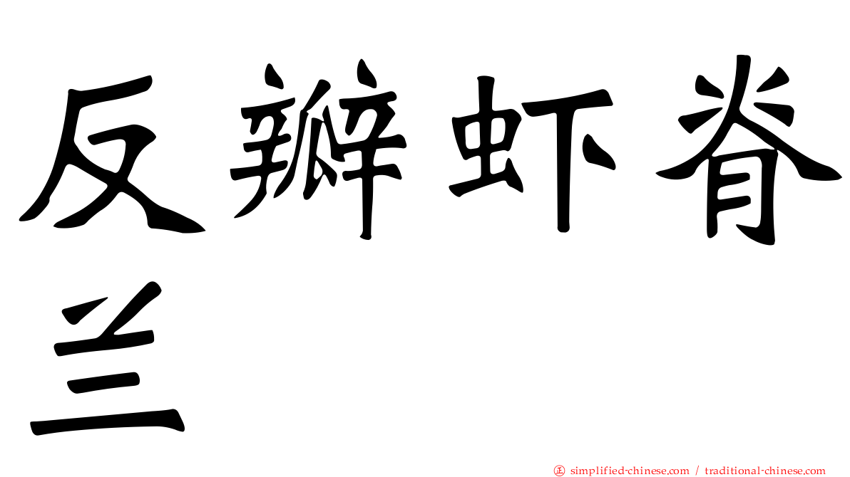 反瓣虾脊兰