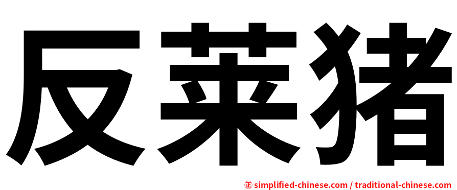 反莱猪