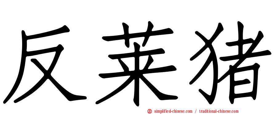 反莱猪