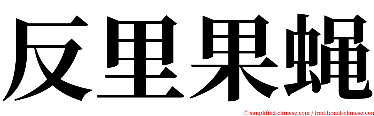 反里果蝇 serif font