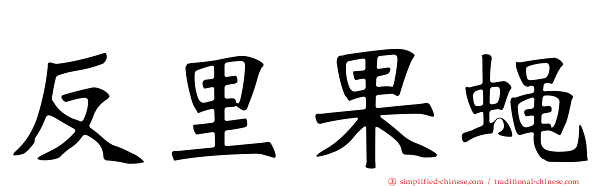 反里果蝇