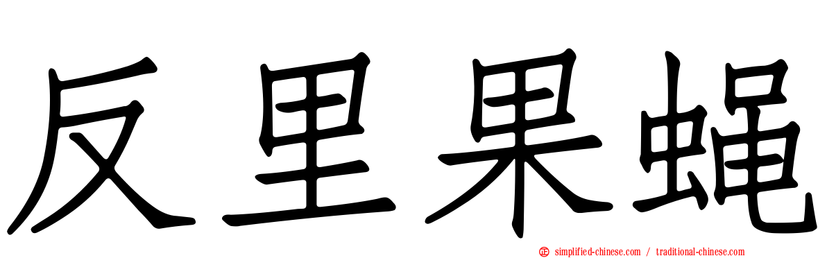 反里果蝇