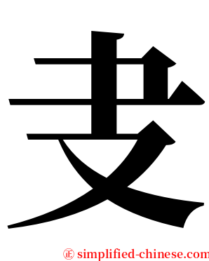 叏 serif font