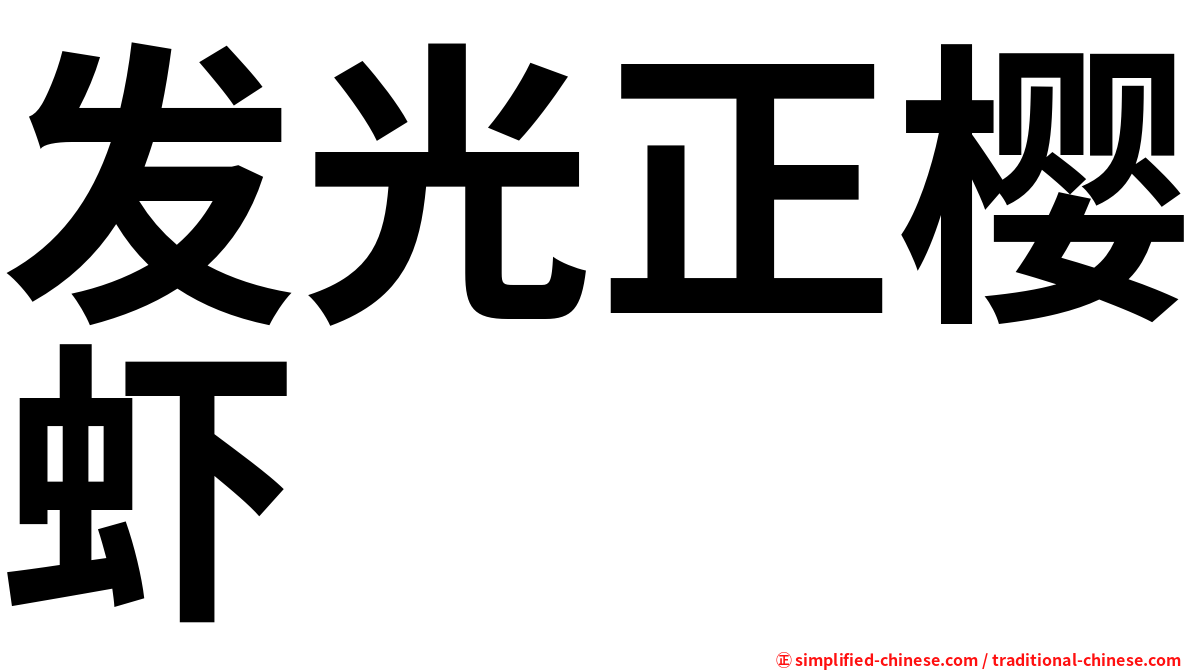 发光正樱虾