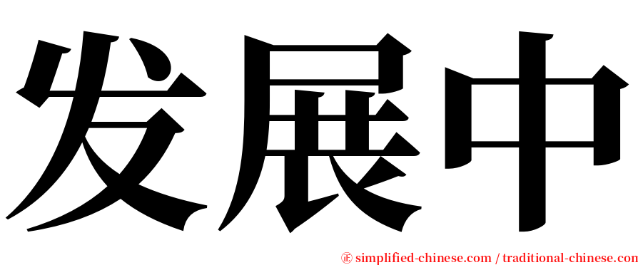 发展中 serif font