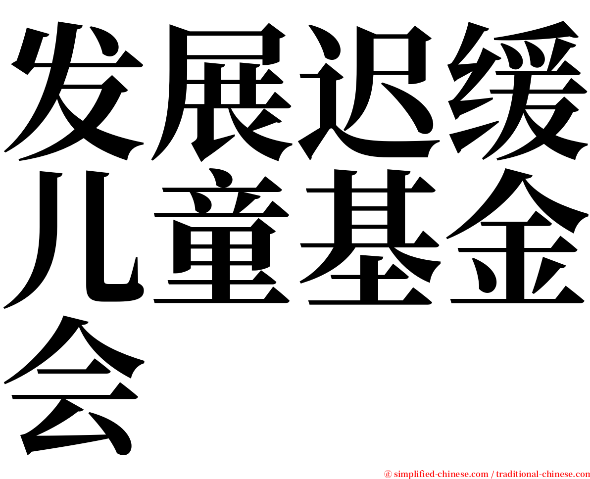 发展迟缓儿童基金会 serif font