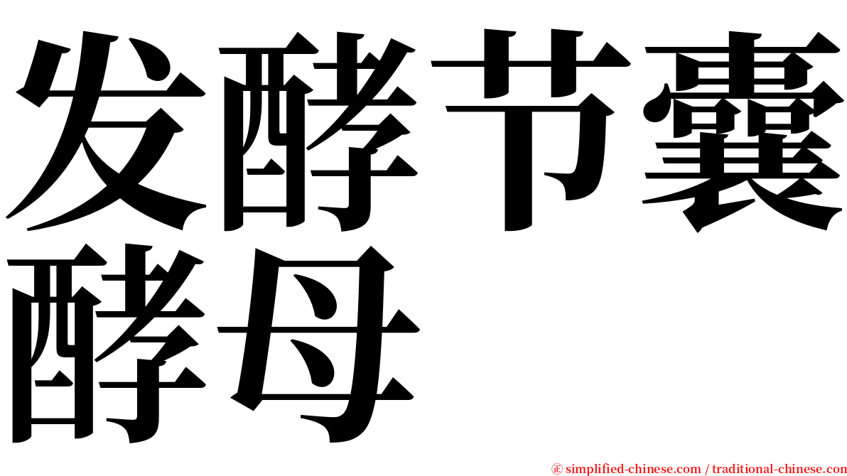 发酵节囊酵母 serif font