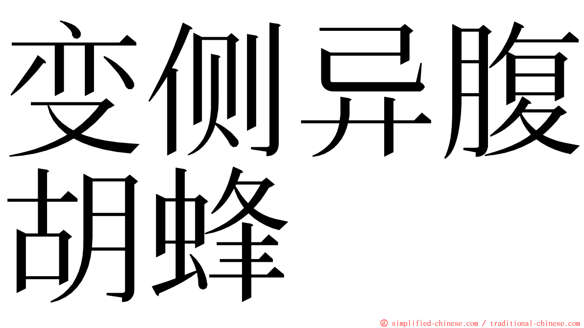 变侧异腹胡蜂 ming font