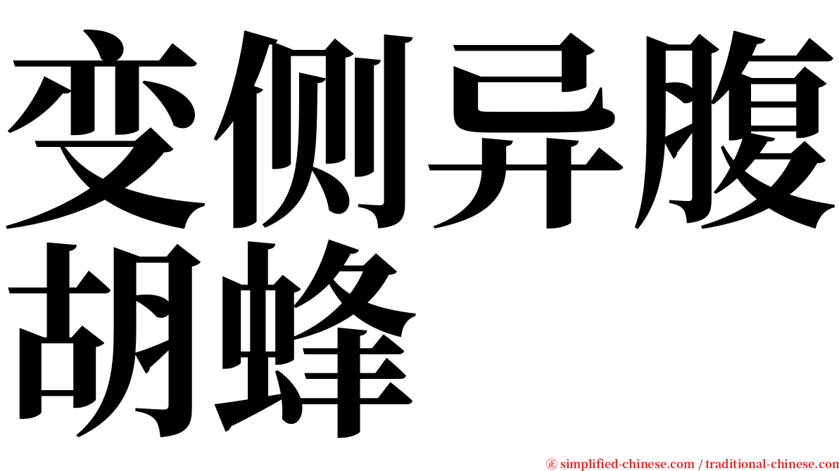 变侧异腹胡蜂 serif font