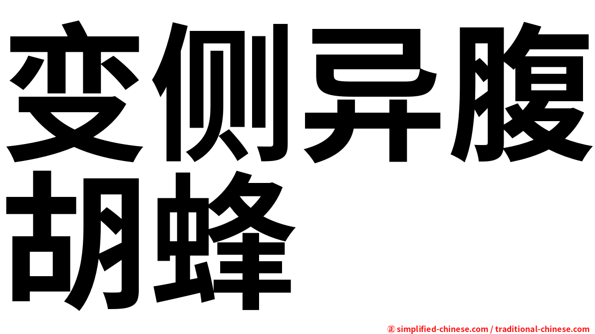 变侧异腹胡蜂