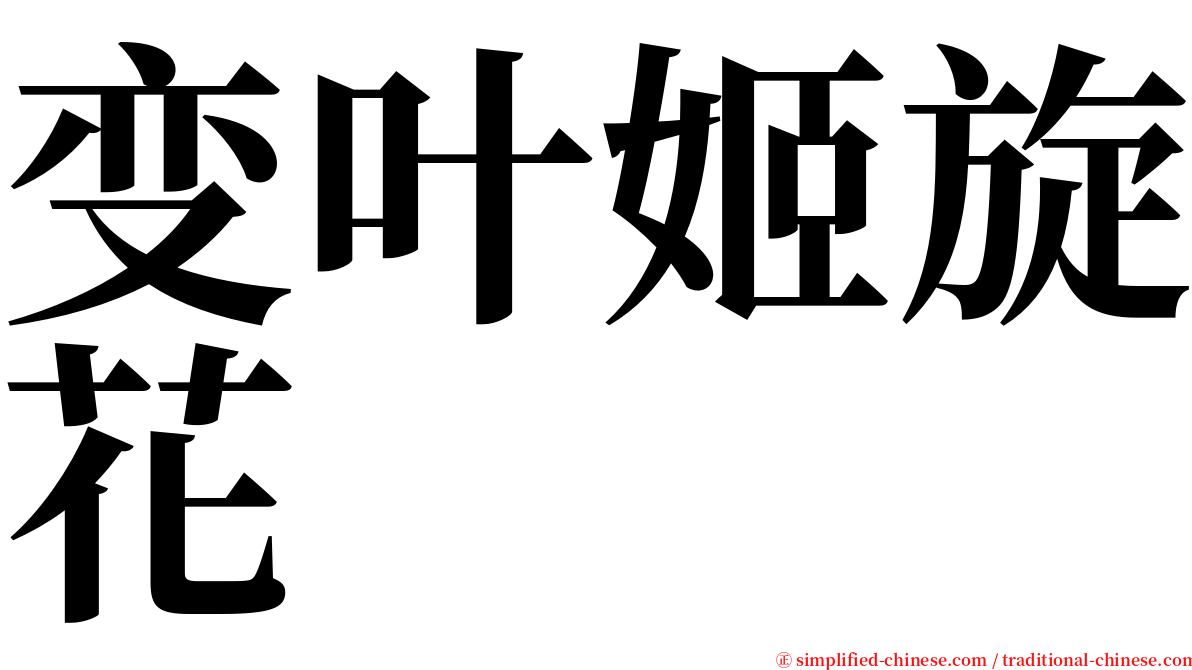 变叶姬旋花 serif font