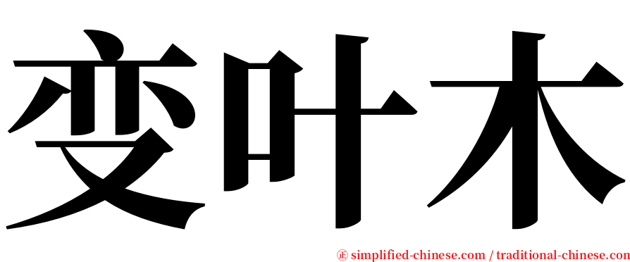 变叶木 serif font