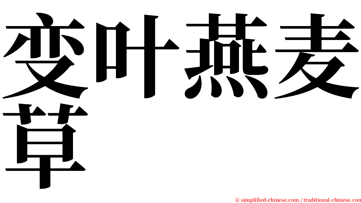 变叶燕麦草 serif font