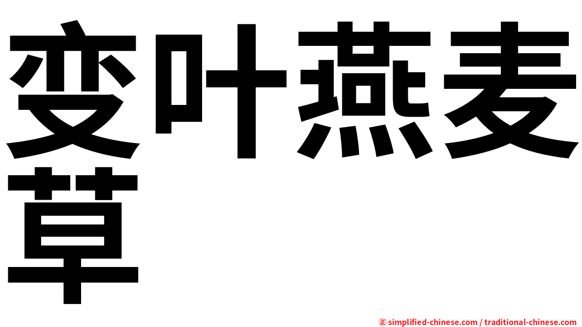 变叶燕麦草