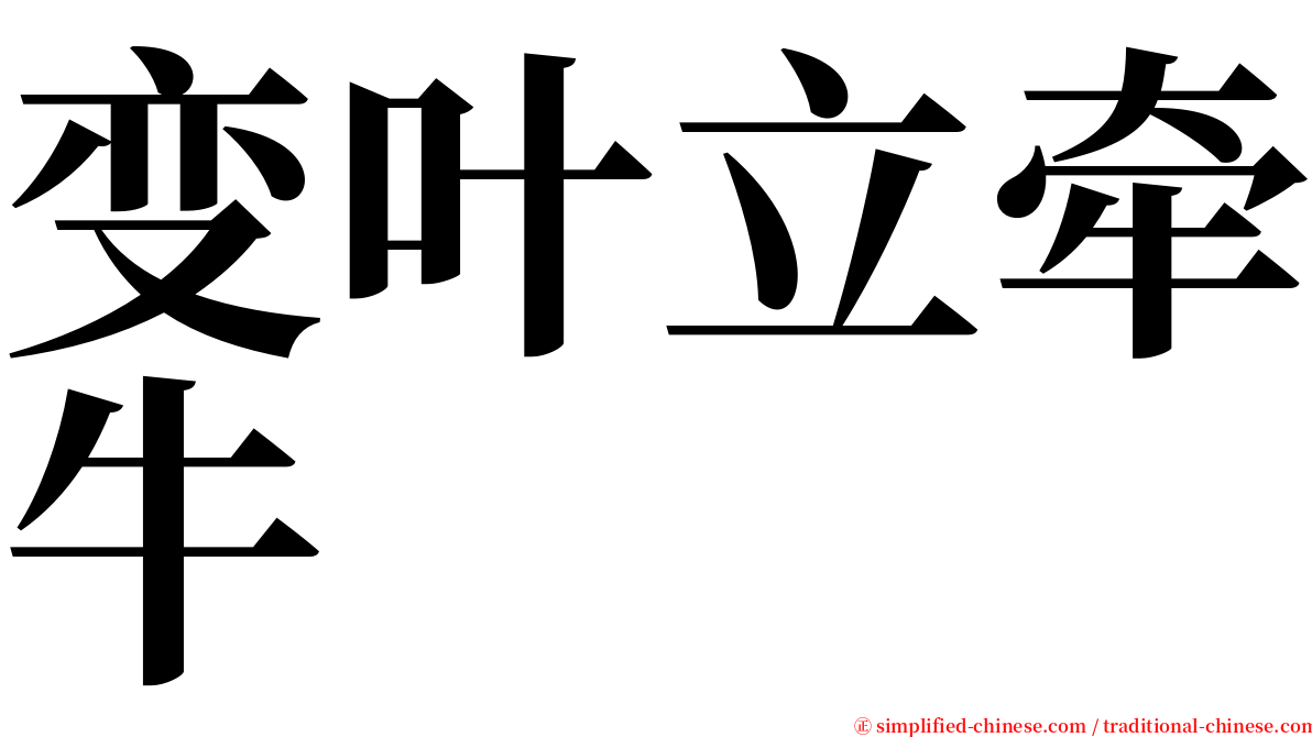 变叶立牵牛 serif font
