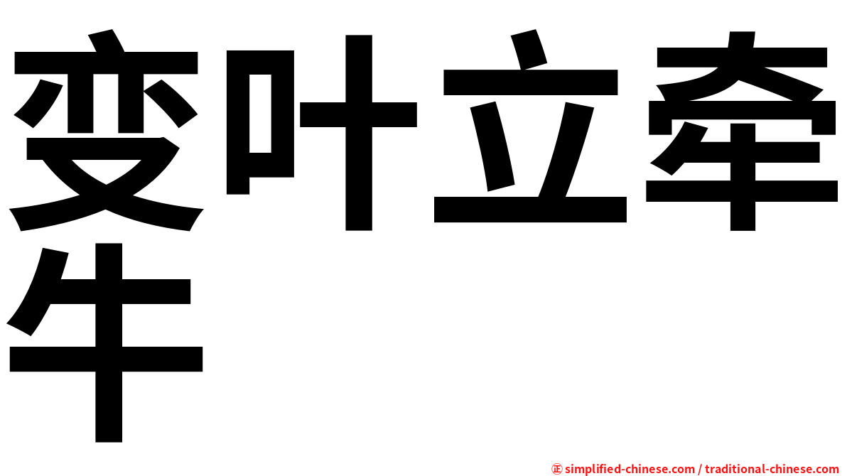 变叶立牵牛