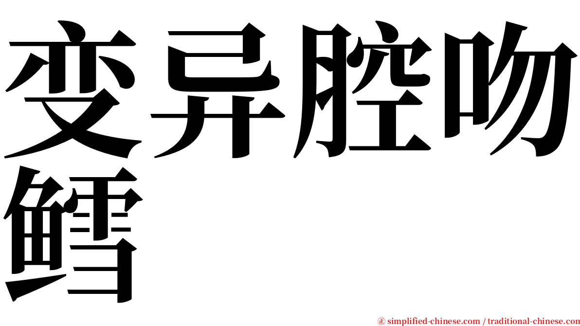 变异腔吻鳕 serif font