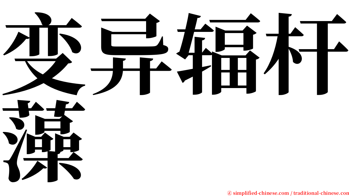 变异辐杆藻 serif font