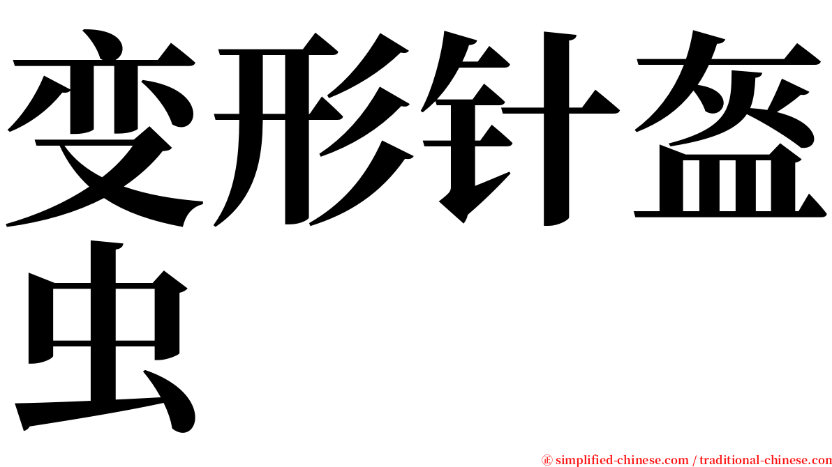 变形针盔虫 serif font