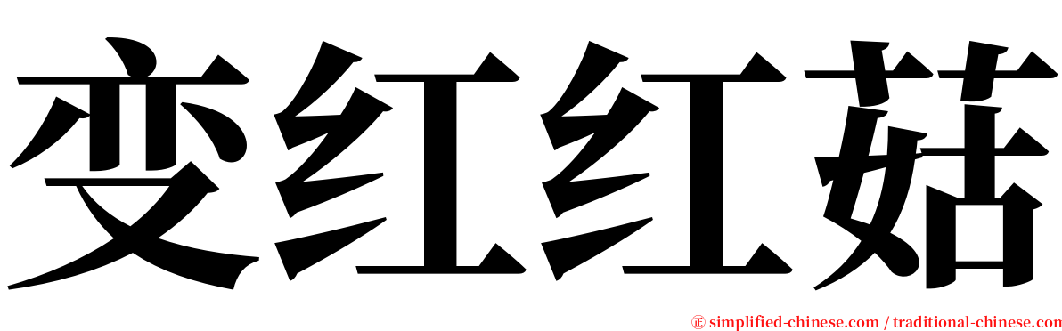 变红红菇 serif font