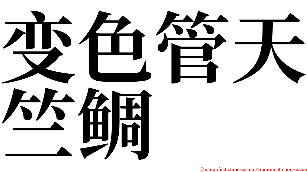 变色管天竺鲷 serif font