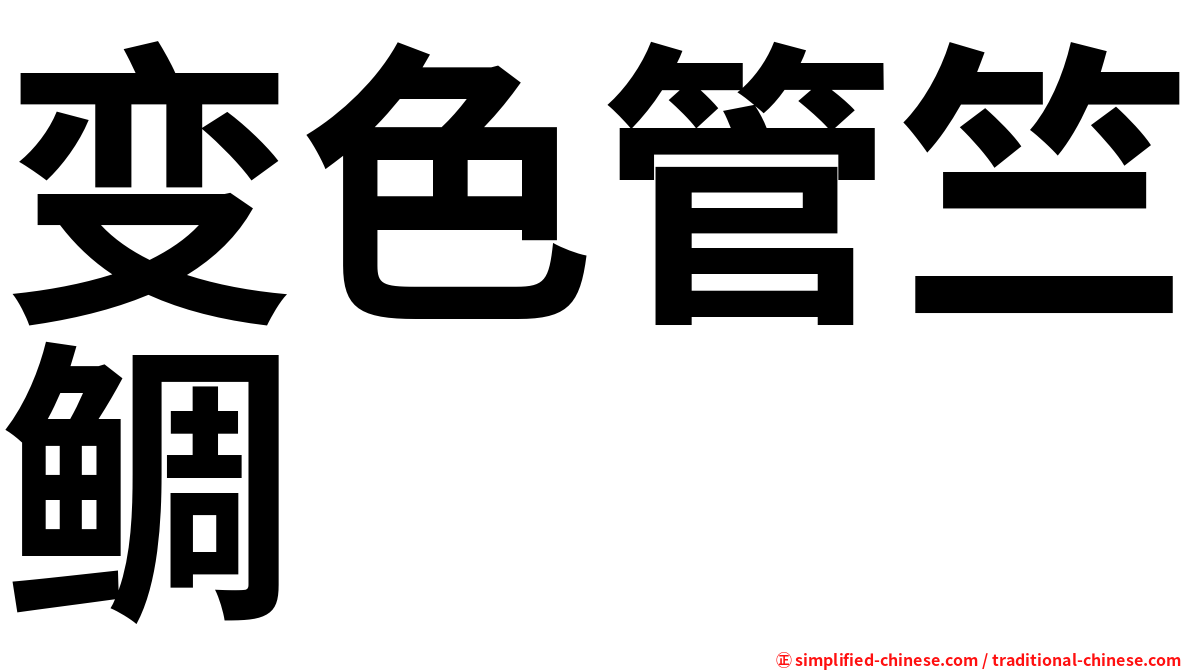 变色管竺鲷