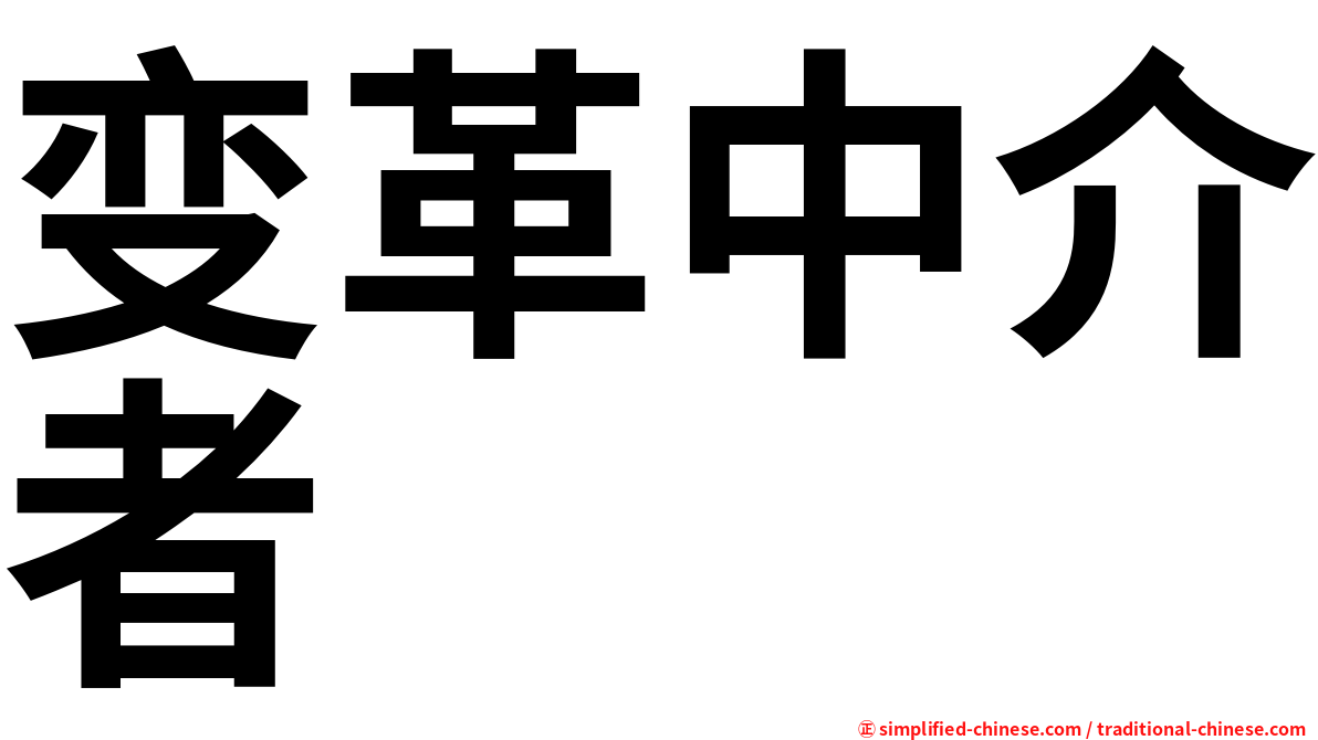 变革中介者