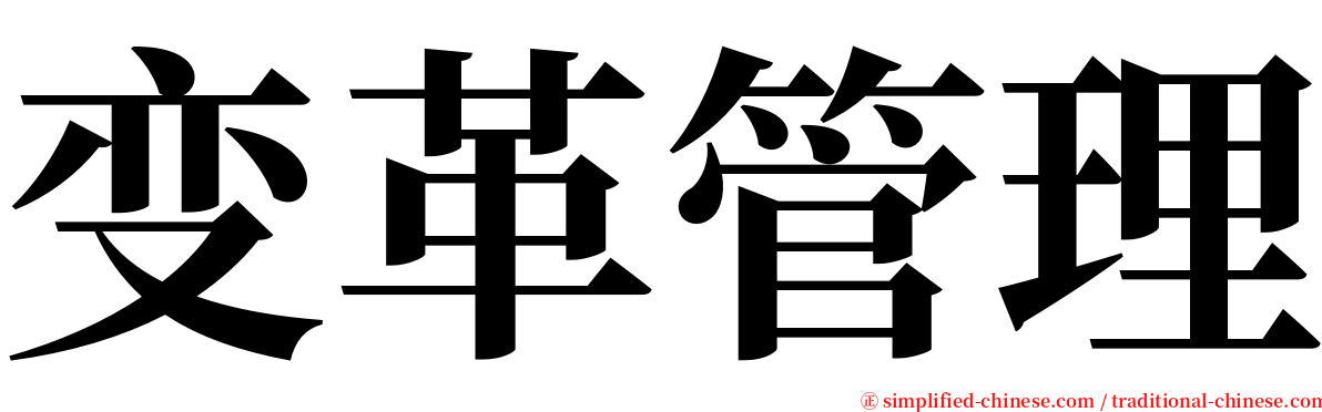 变革管理 serif font