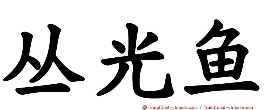丛光鱼