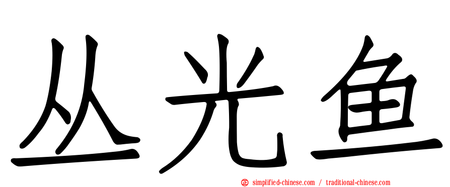 丛光鱼