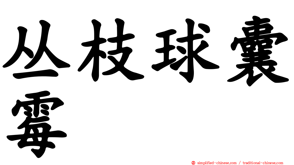 丛枝球囊霉