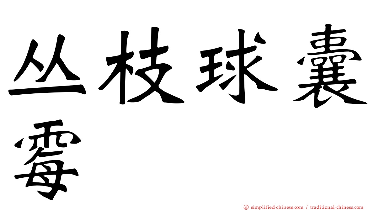 丛枝球囊霉